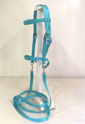 Turquoise Saddle Pad Set D907
