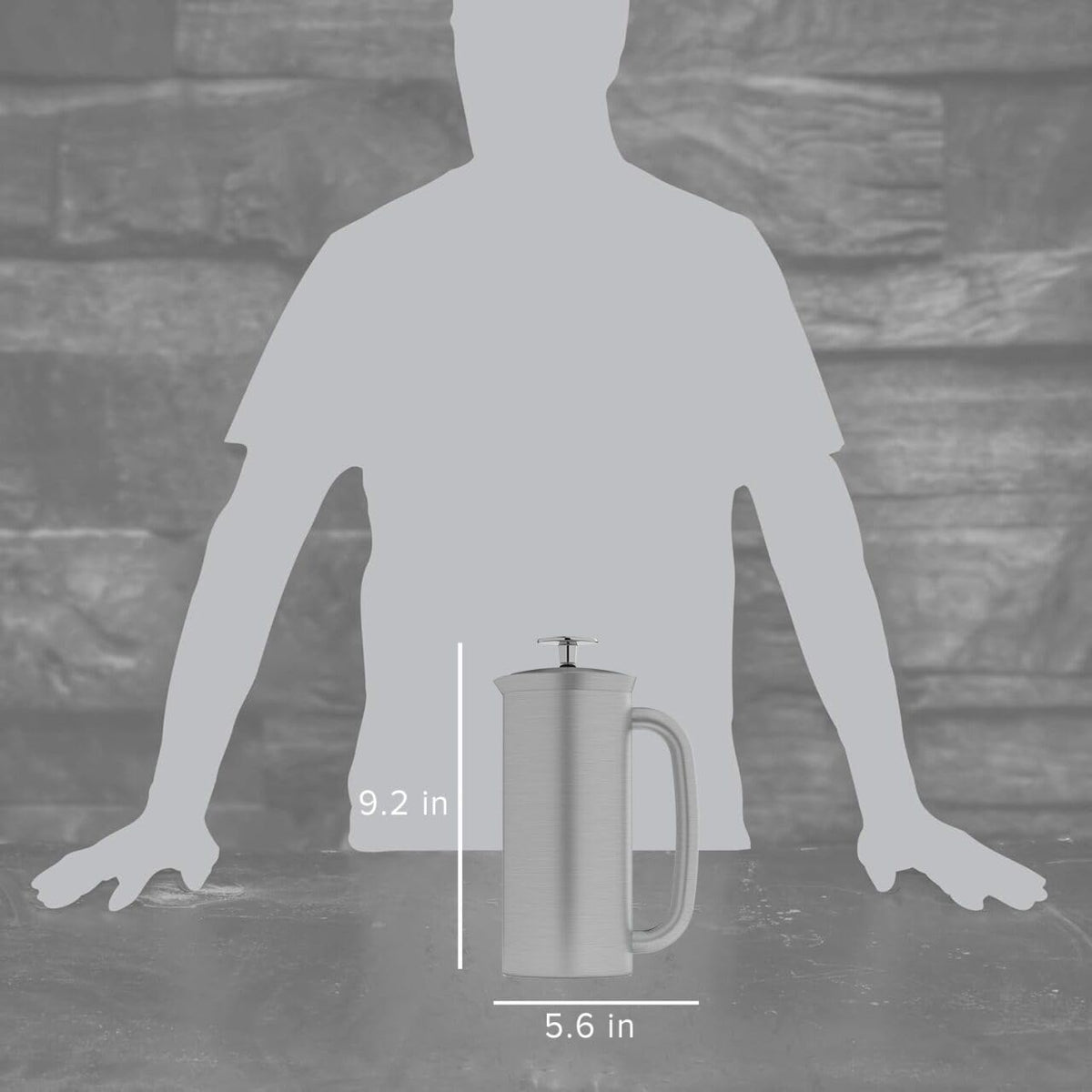 18oz Brushed Stainless Steel French Press R95670