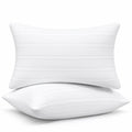 King Size Down Alternative Pillows Set of 2 P27557