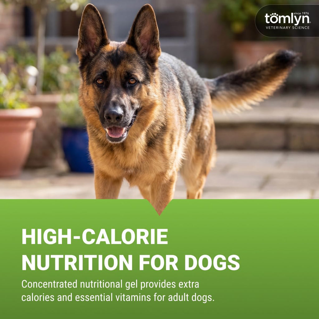 Malt-Flavored High-Calorie Nutritional Gel for Dogs, 4.25oz O74094