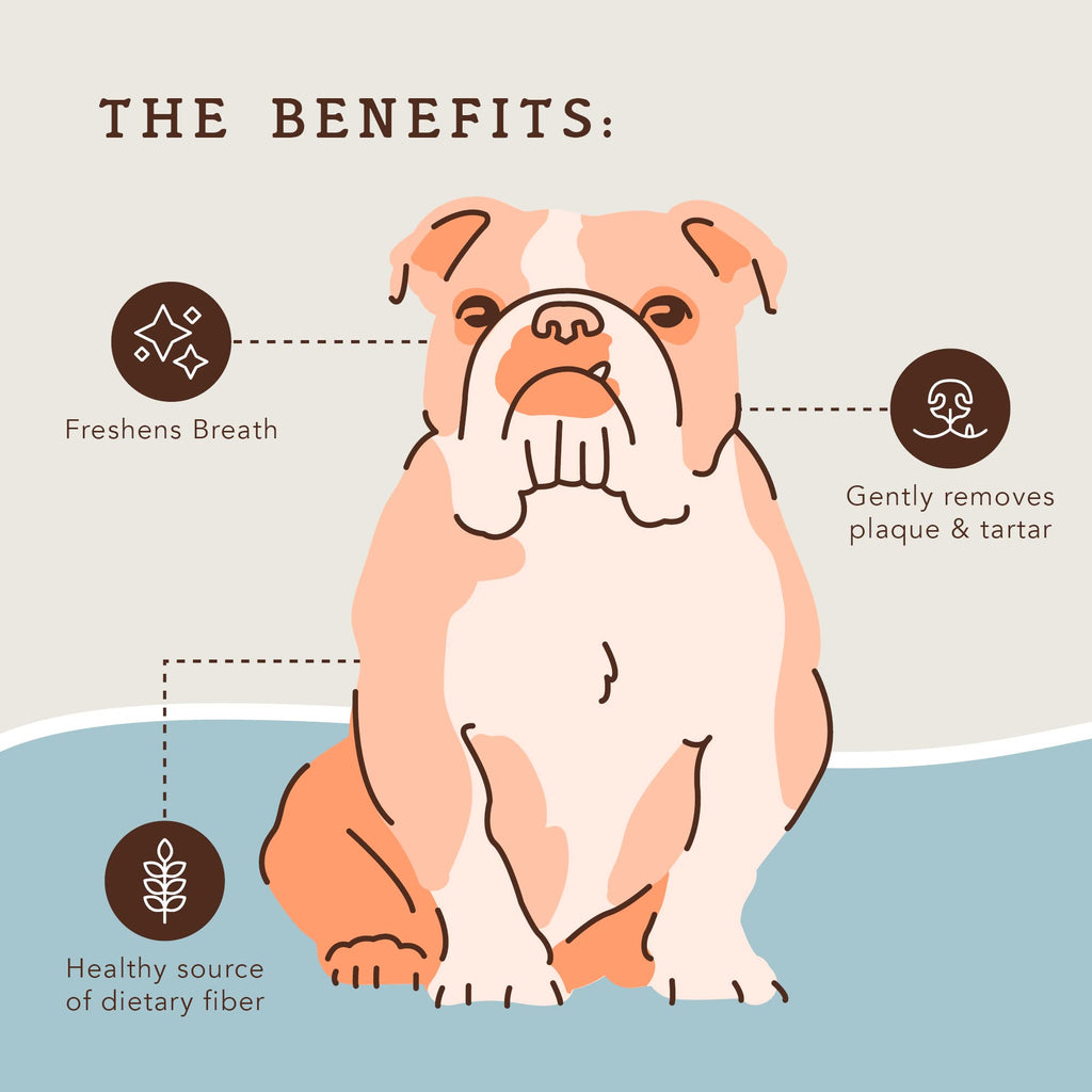 Dental Chews for Dogs 18 Count Q621350