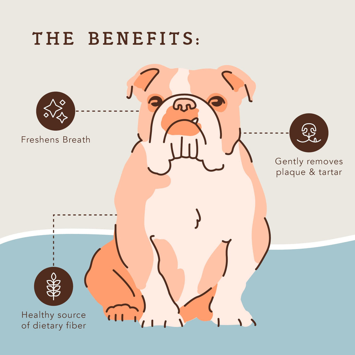 Dental Chews for Dogs 18 Count Q621350