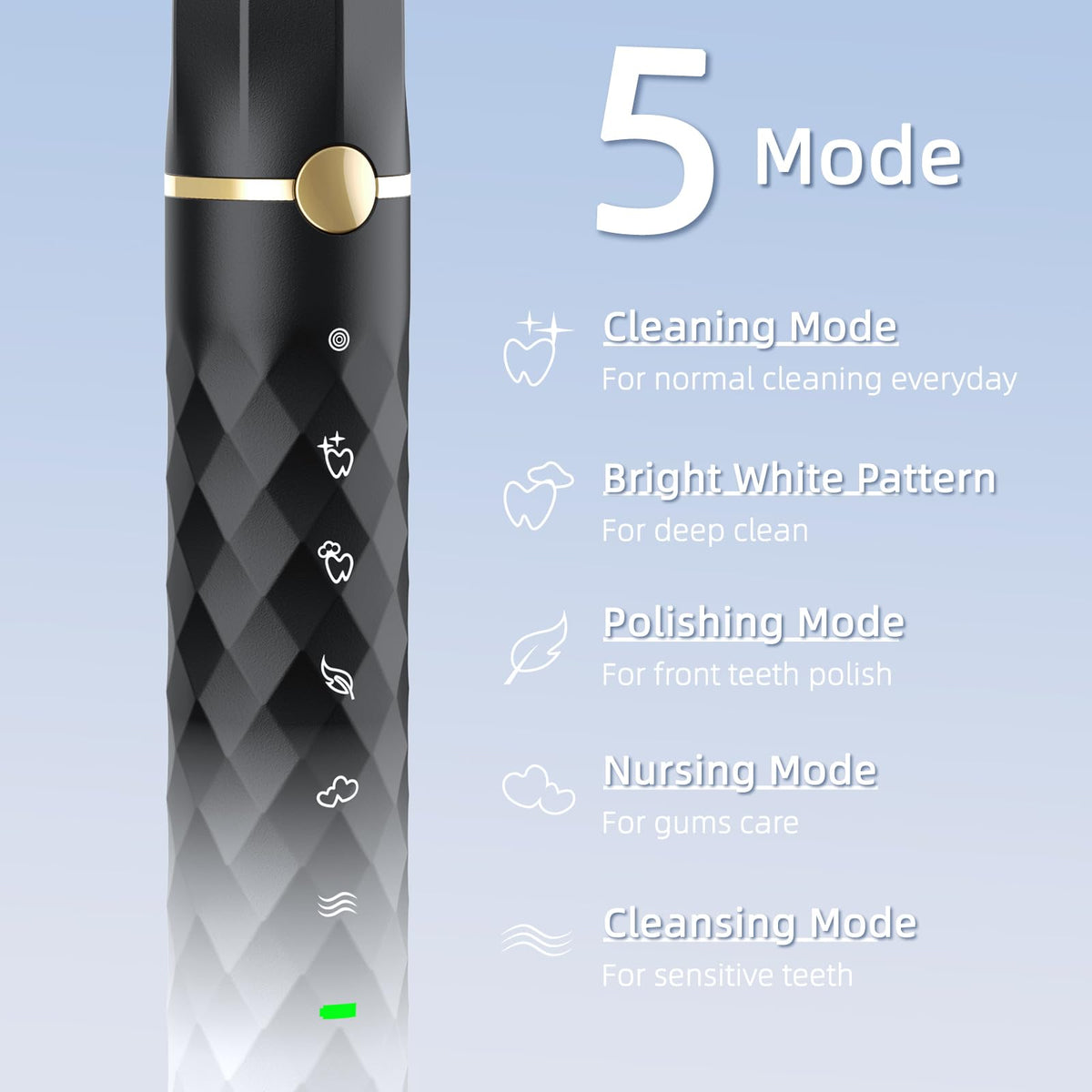 Black White Sonic Electric Toothbrush Set with 10 Brush Heads and Travel Case M484193