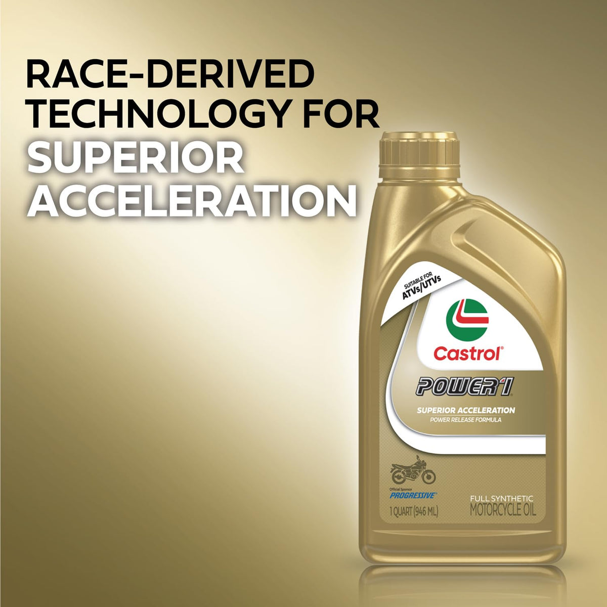 10W-40 Full Synthetic Motorcycle Oil U840159