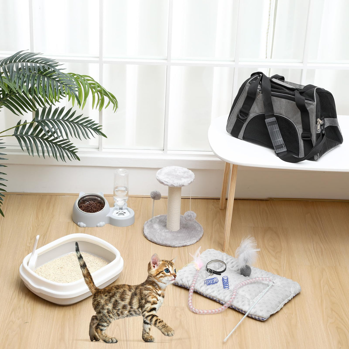 10 Pcs Kitten Starter Kit L4010