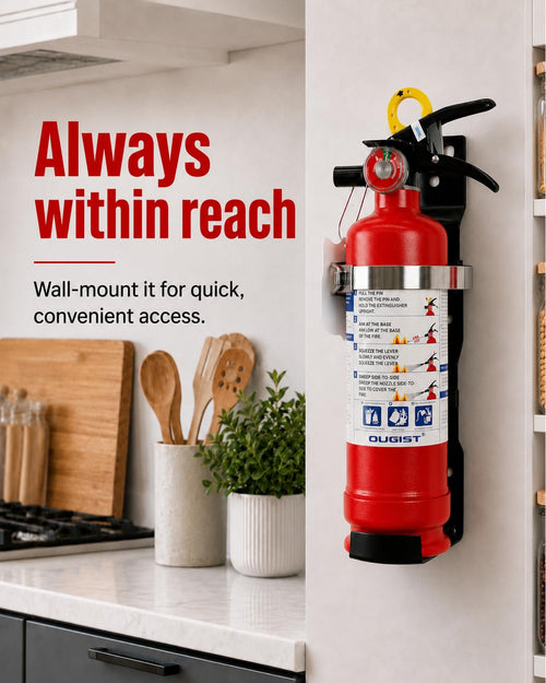 2.5 lb ABC Dry Chemical Fire Extinguisher with Wall Mount C5585
