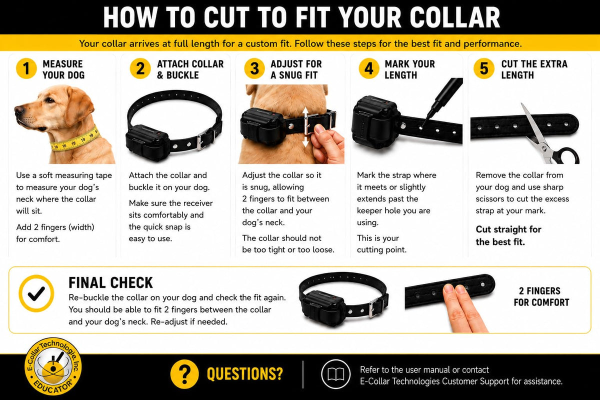Black Quick Snap Collar Strap Y30271