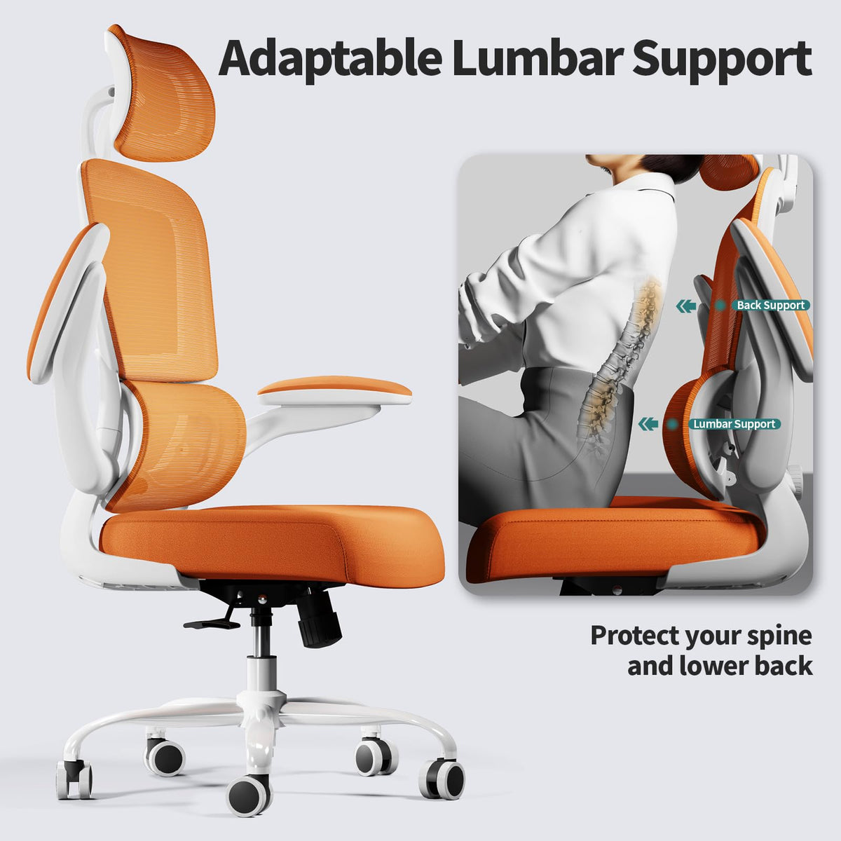 Ergonomic Office Chair with Lumbar Support H96690