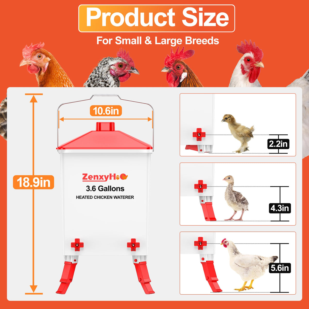 3.6 Gal Chicken Waterer with 4 Water Nipples H90908