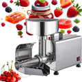 450W Stainless Steel Electric Tomato Strainer V502205