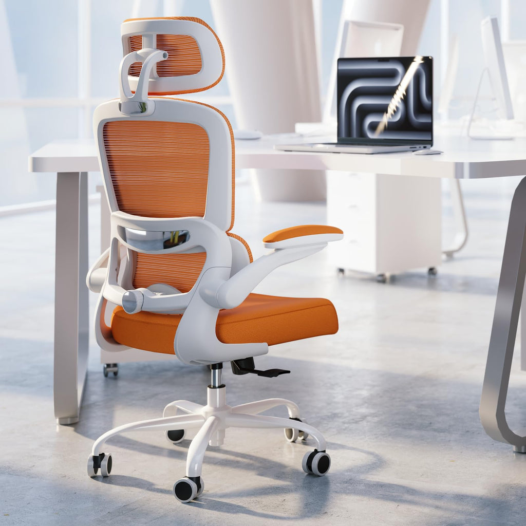 Ergonomic Office Chair with Lumbar Support H96690