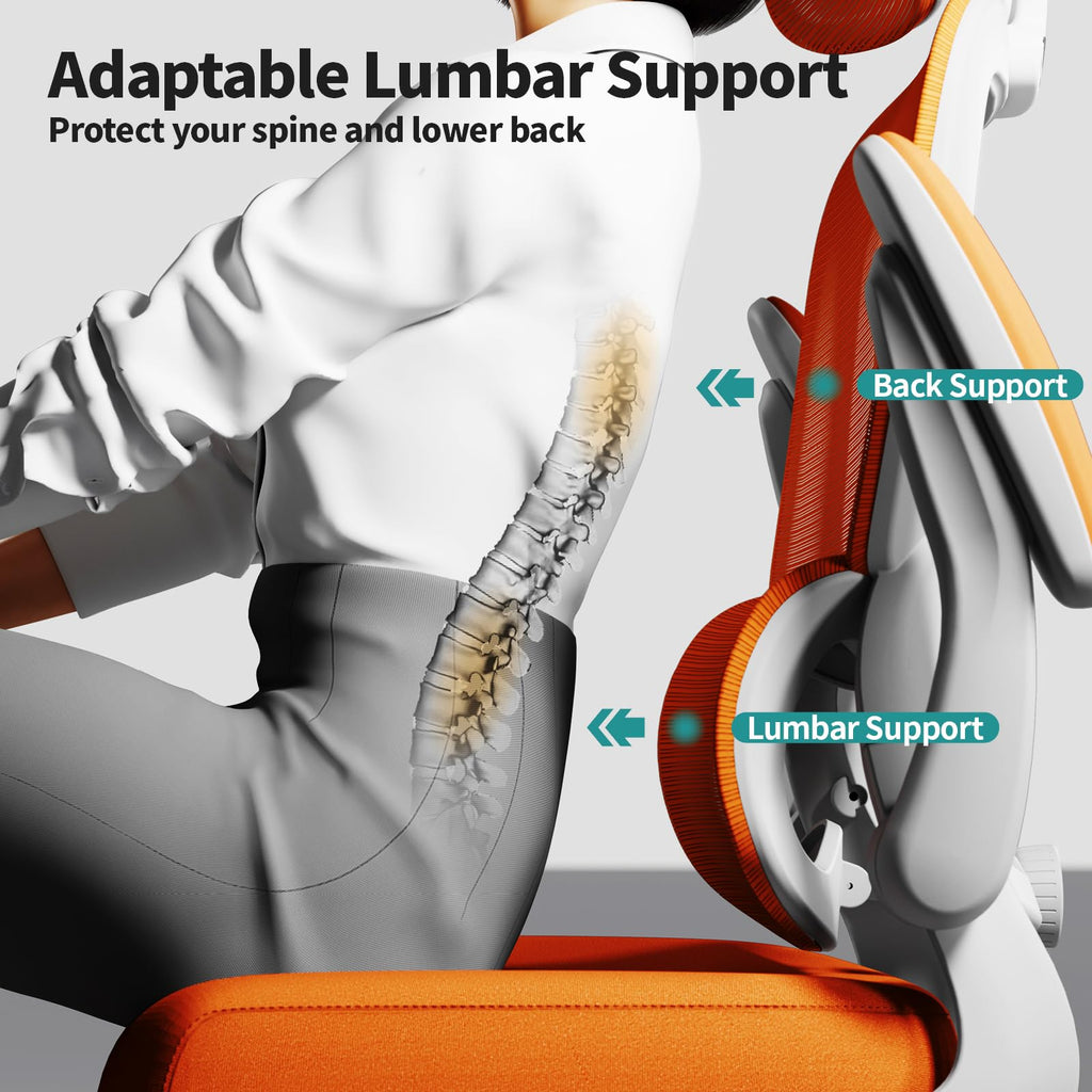 Ergonomic Office Chair with Lumbar Support H96690