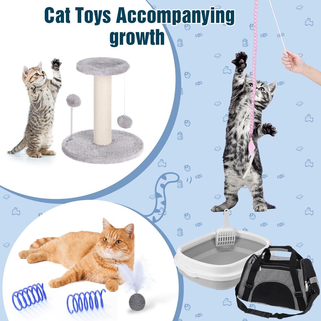 10 Pcs Kitten Starter Kit L4010