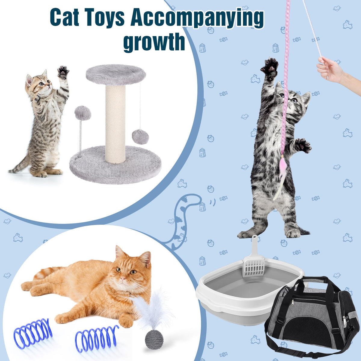 10 Pcs Kitten Starter Kit L4010