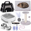10 Pcs Kitten Starter Kit L4010