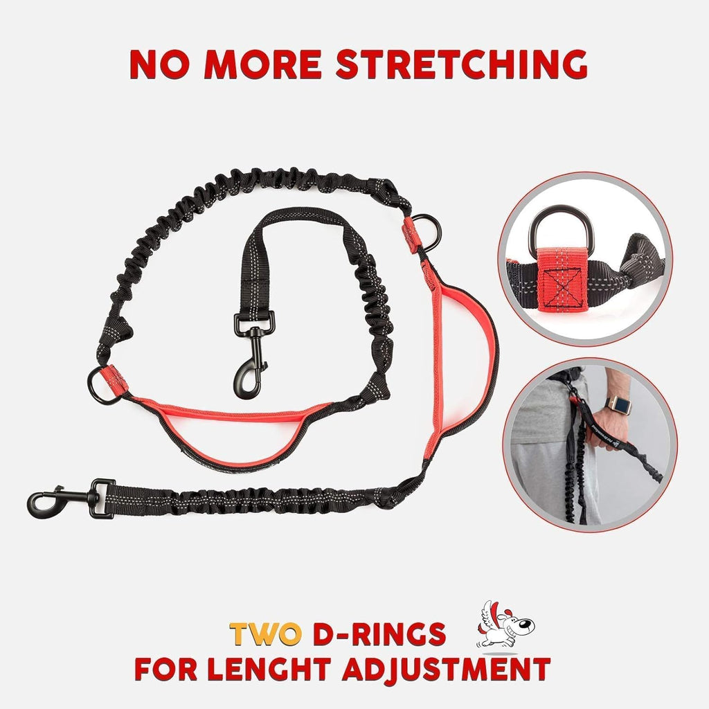 Hands Free Dog Leash with Poop Bag Dispenser J261756