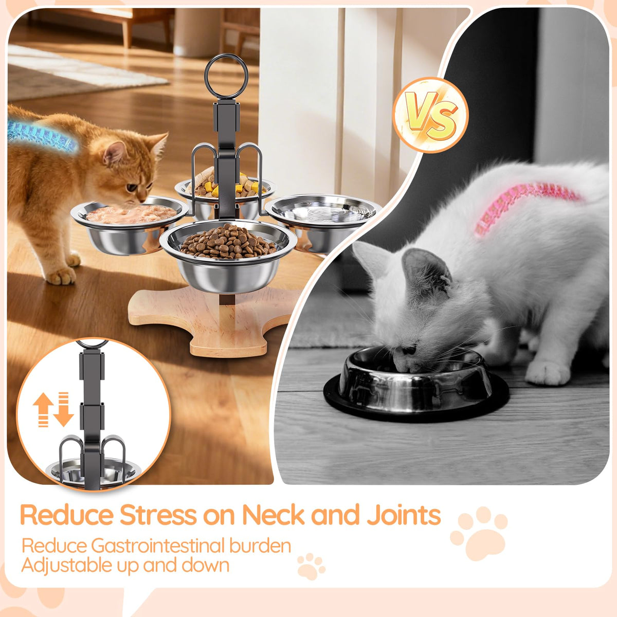 Elevated Cat Bowls with Stand L41706