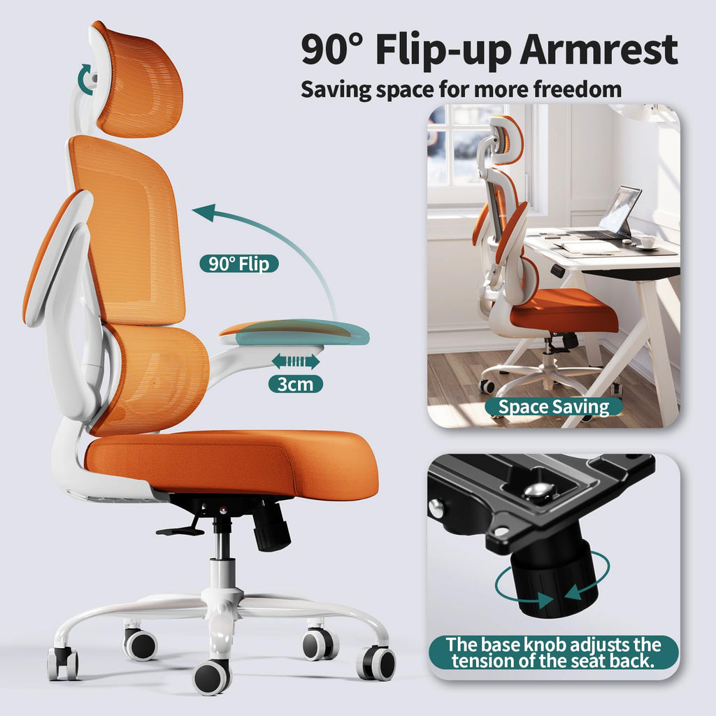 Ergonomic Office Chair with Lumbar Support H96690