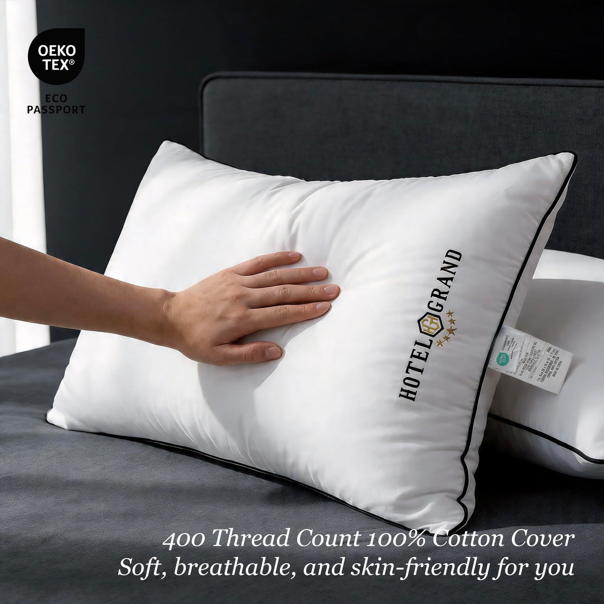 Queen Size Down Alternative Pillows Set of 2 B7772