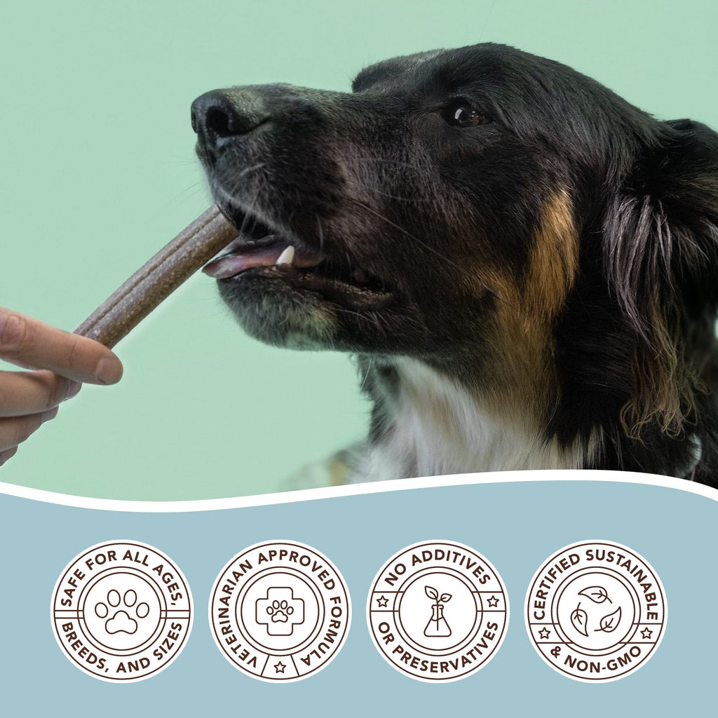 Dental Chews for Dogs 18 Count Q621350