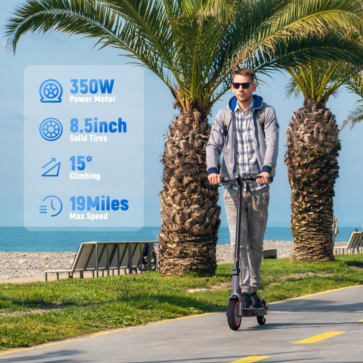 Electric Scooter 350W/500W Motor 8.5'' Solid Tire P18155