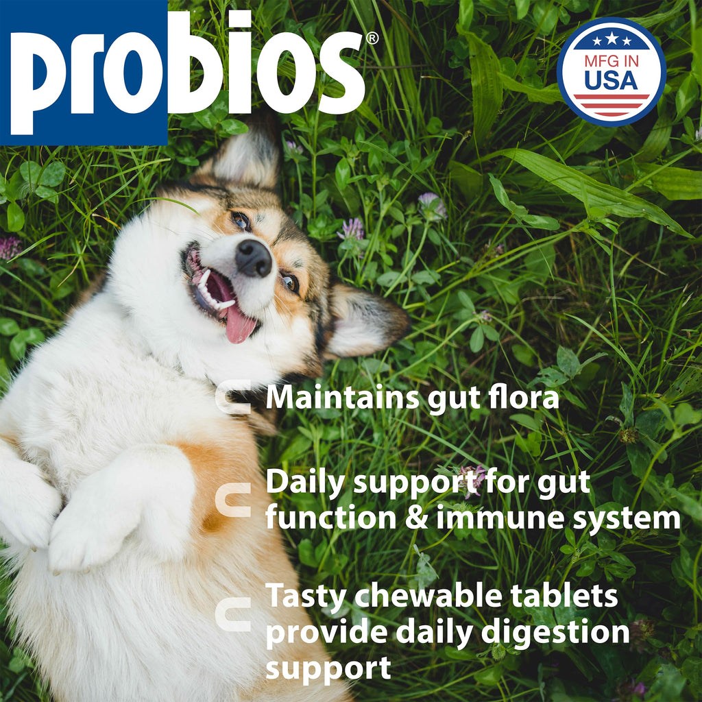 Digestive Dog Tabs 45 chewable tablets X23397