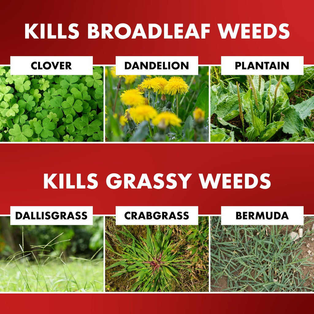 1 Gal Weed & Grass Killer V87445